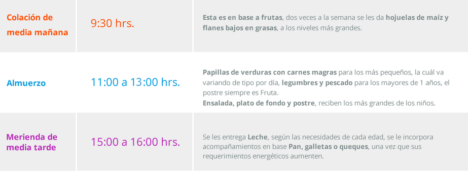 Nutrición: Minutas, hábitos y protocolos para los niños