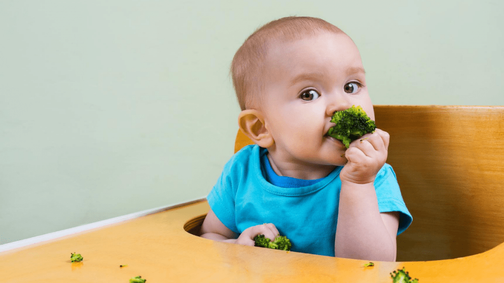 nuevos alimentos