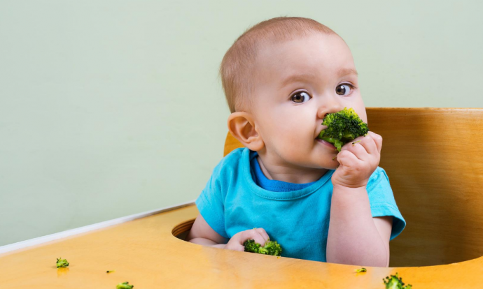 nuevos alimentos