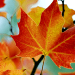 otoño