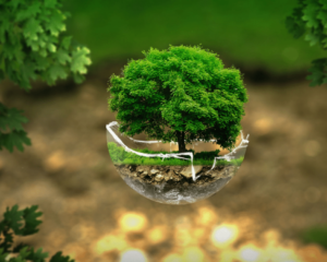 medioambiente