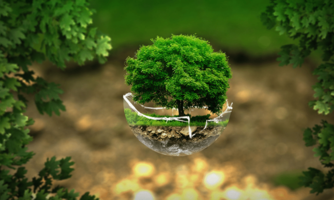 medioambiente