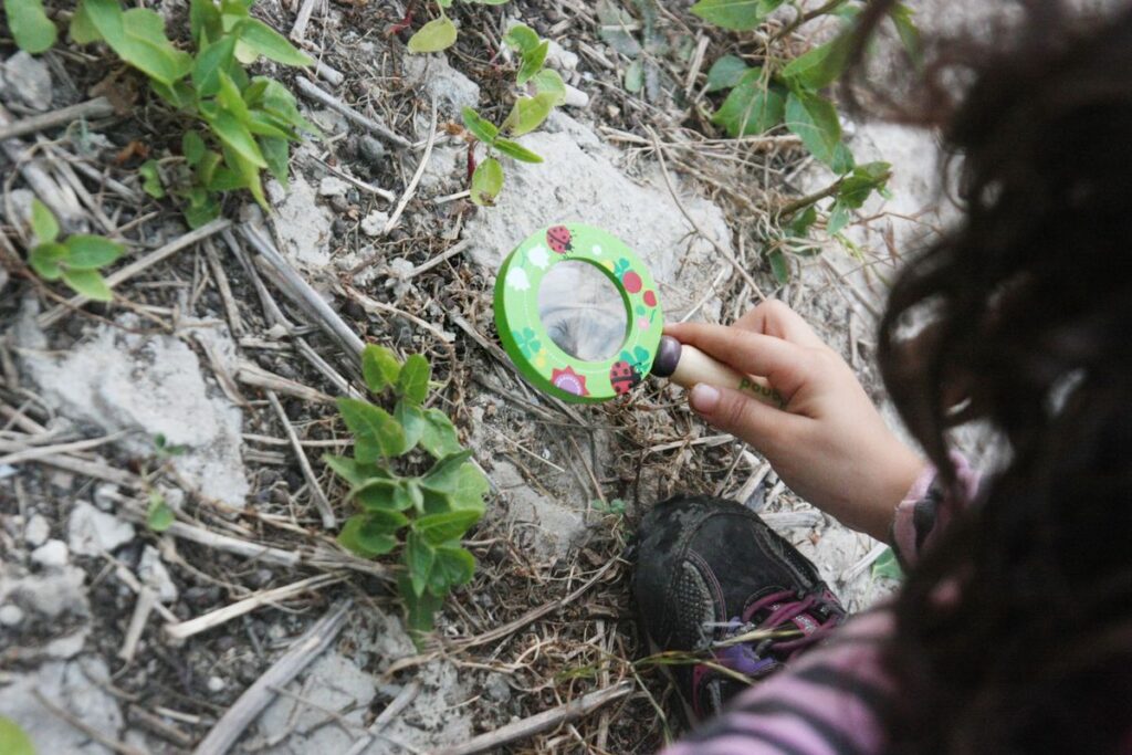 6 actividades primaverales para hacer en casa