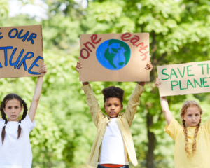 educación ambiental